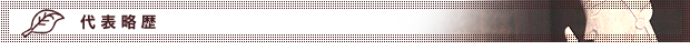 代表略歴