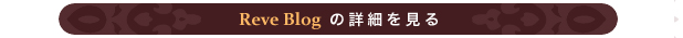 Reve Blog�̏ڍׂ�����
